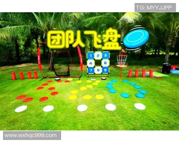 飞盘热潮席卷北京飞盘队协作创新引发热议